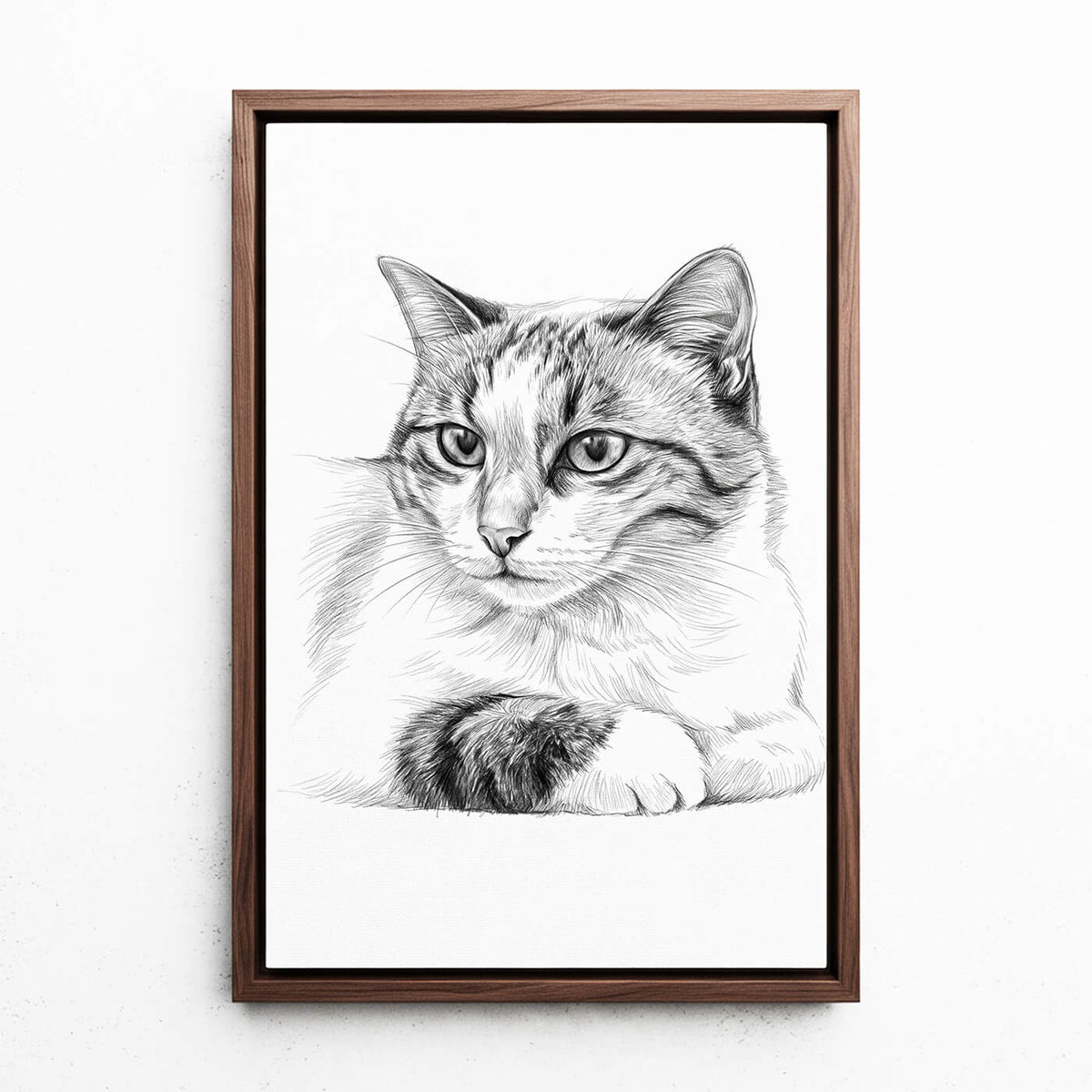 Kattenportret in potloodstijl van je foto - canvas met walnoten lijst