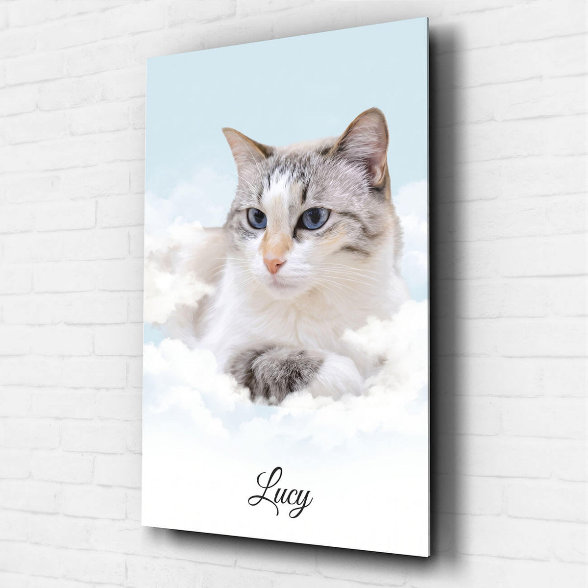Gepersonaliseerd kattenportret op de wolken van je foto - acrylglas